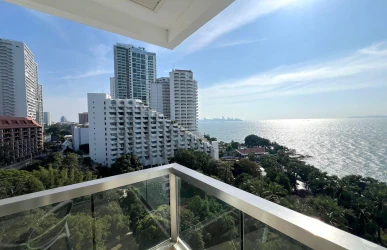 Property: the palm