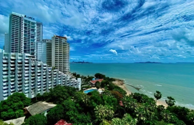 Property: the palm